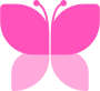butterfly pink icon